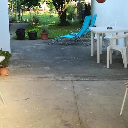 Apartman Olymp Osijek-Garaza エクステリア 写真