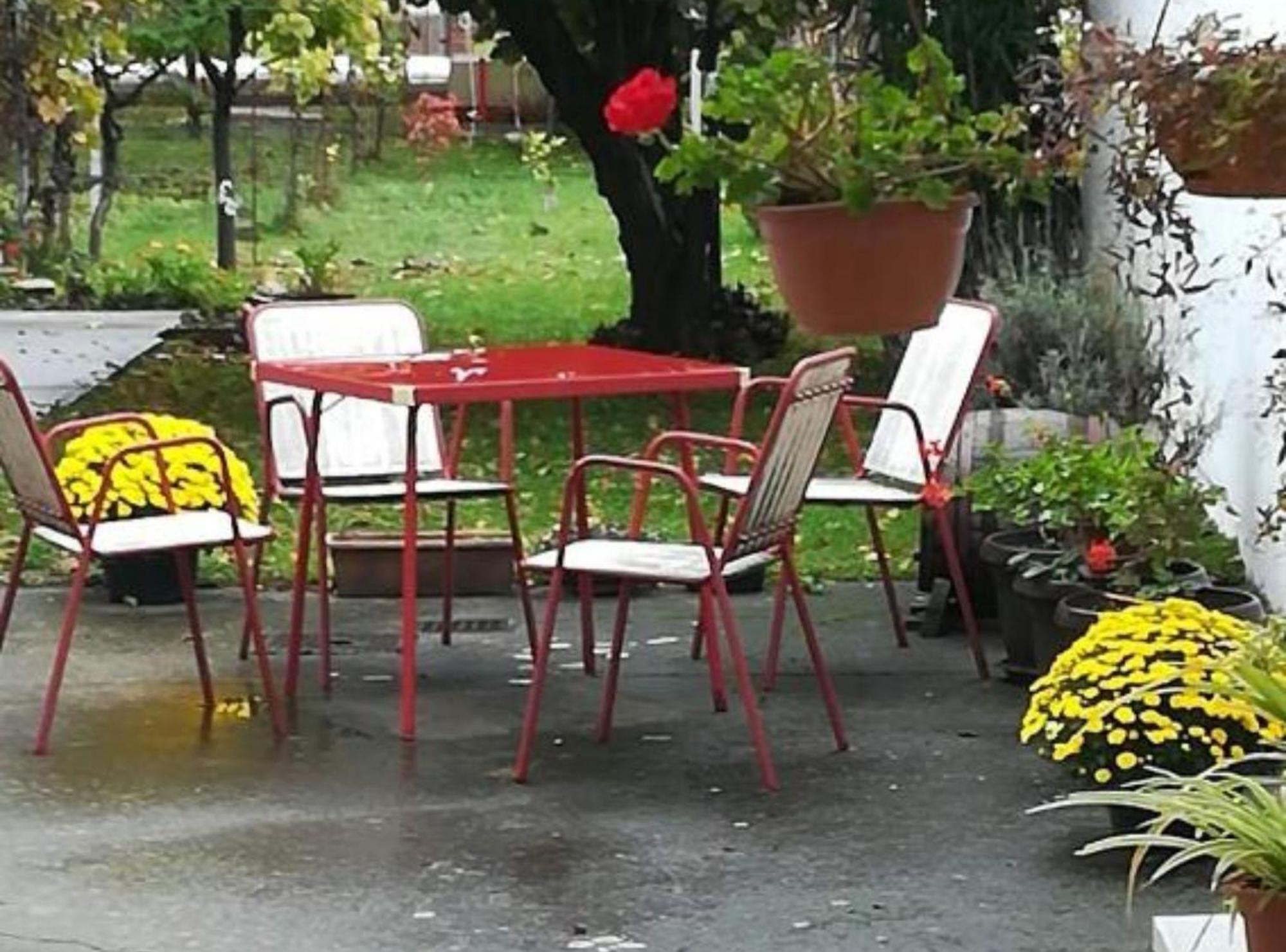 Apartman Olymp Osijek-Garaza エクステリア 写真