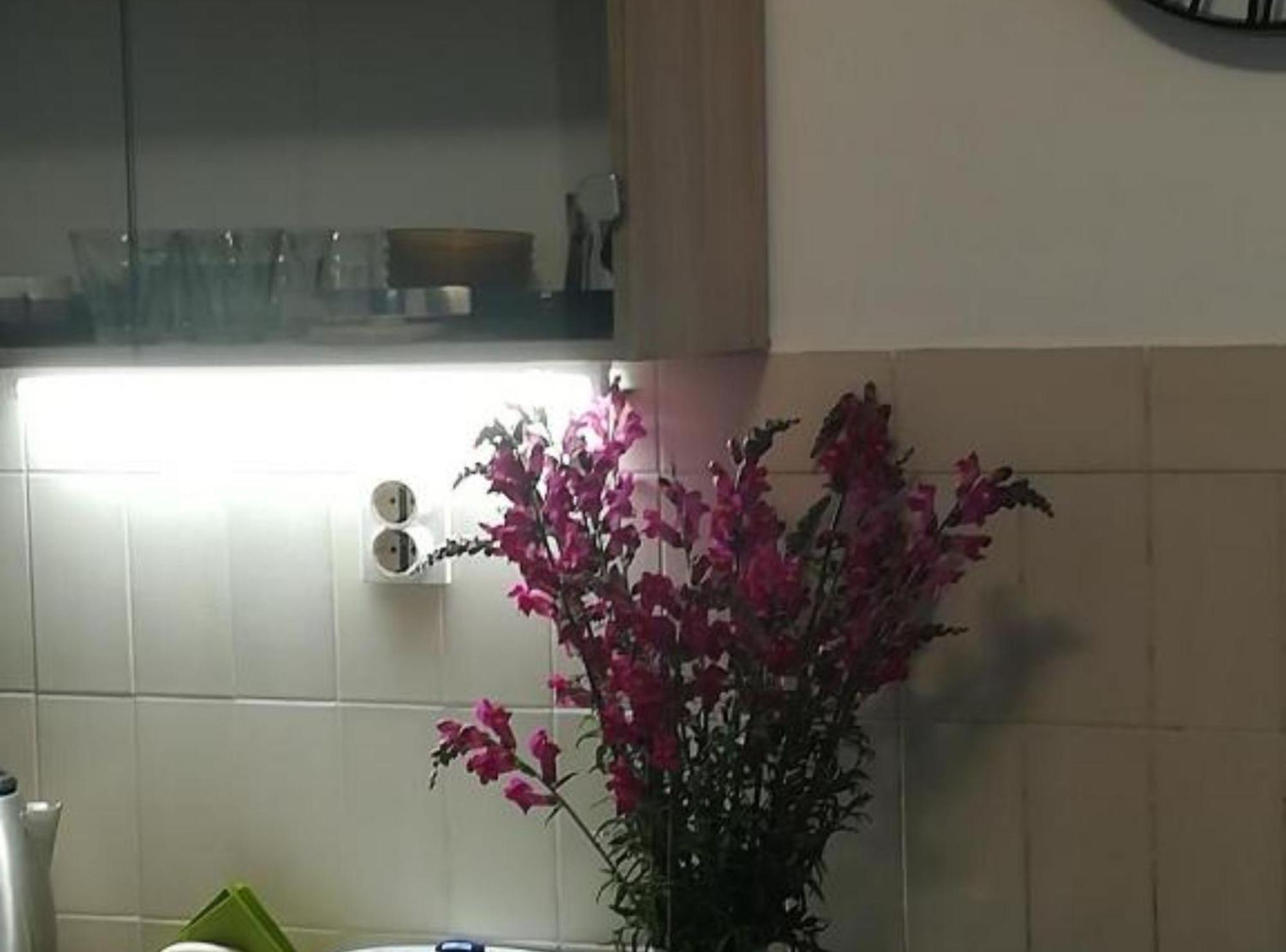 Apartman Olymp Osijek-Garaza エクステリア 写真
