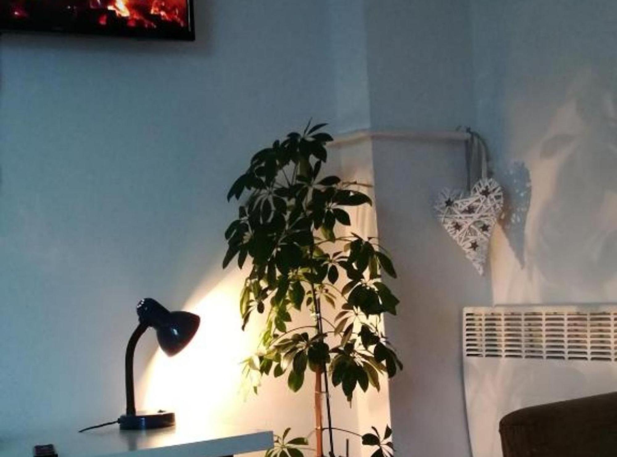 Apartman Olymp Osijek-Garaza エクステリア 写真